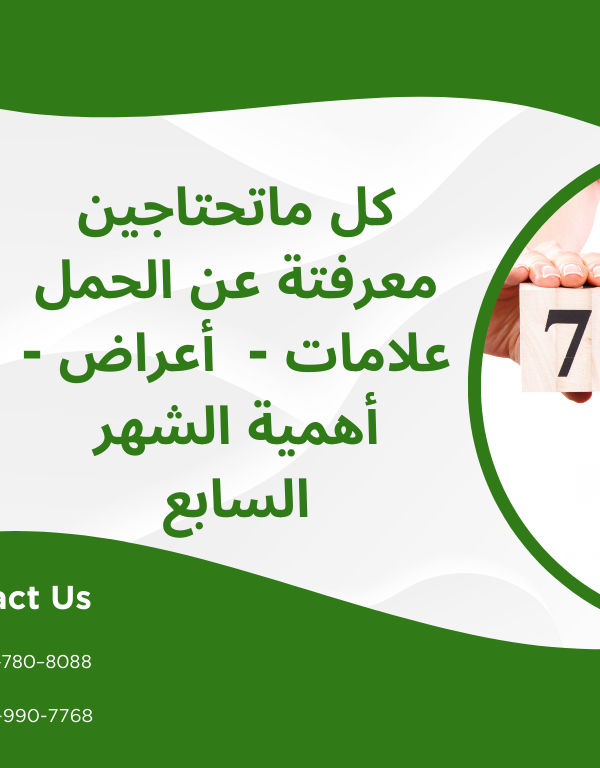 كل ما تحتاجين معرفته عن الحمل