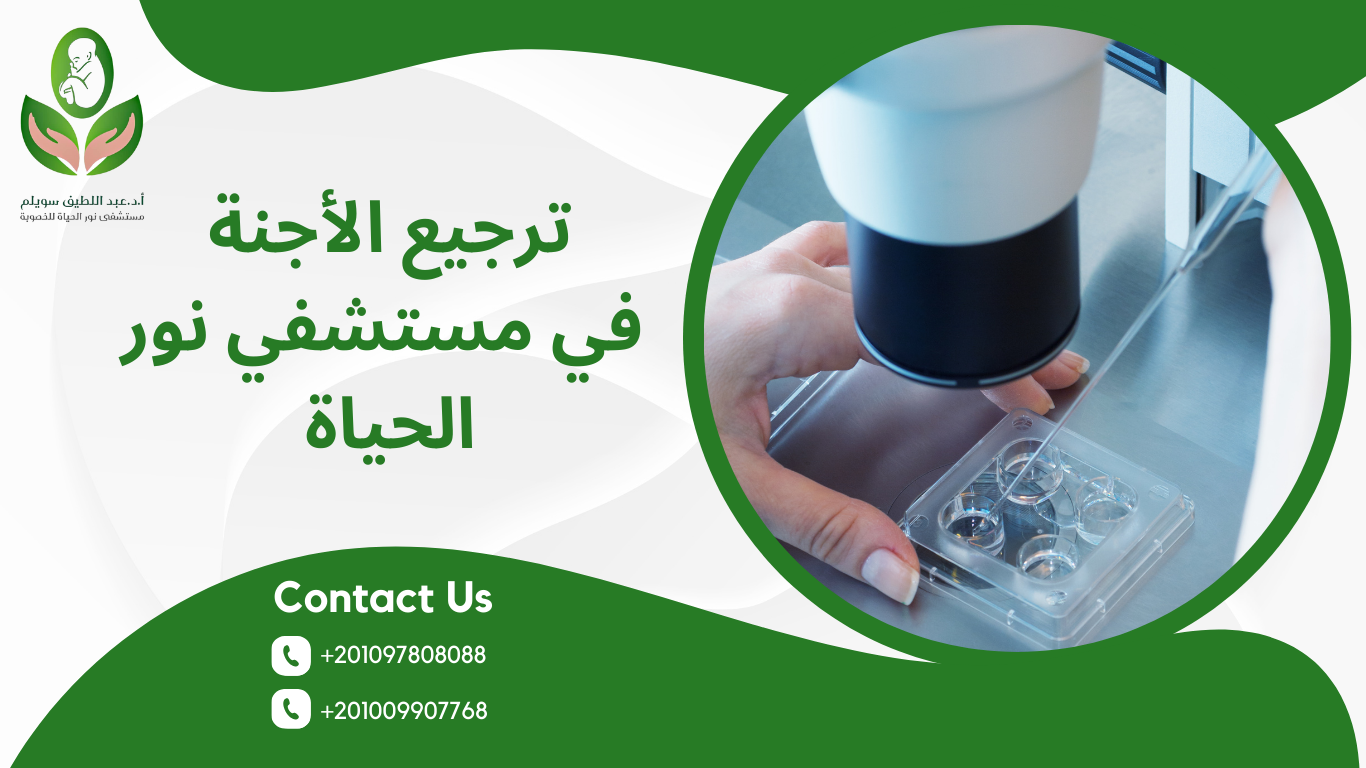 ترجيع الأجنة