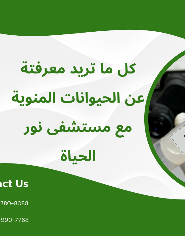 كل ما تريد معرفته عن الحيوانات المنوية