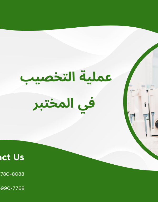 التخصيب في المختبر