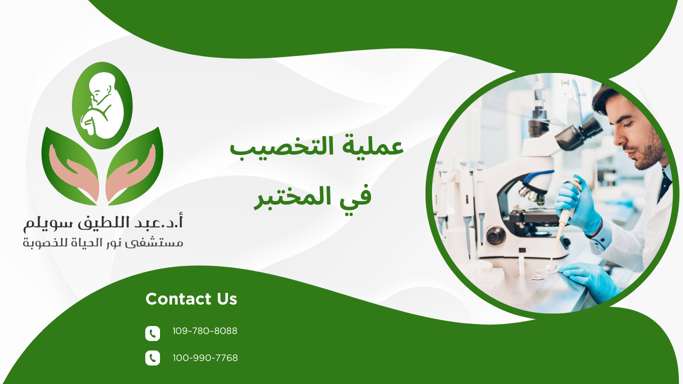 التخصيب في المختبر