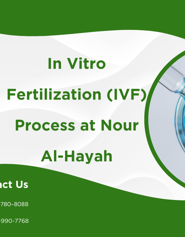 In Vitro Fertilization