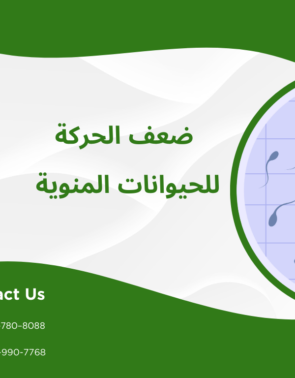 ضعف الحركة للحيوانات المنوية 